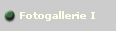 Fotogallerie I