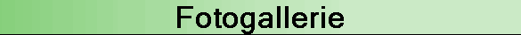 Fotogallerie