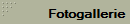 Fotogallerie