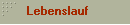 Lebenslauf