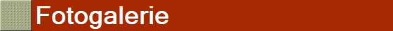 Fotogalerie